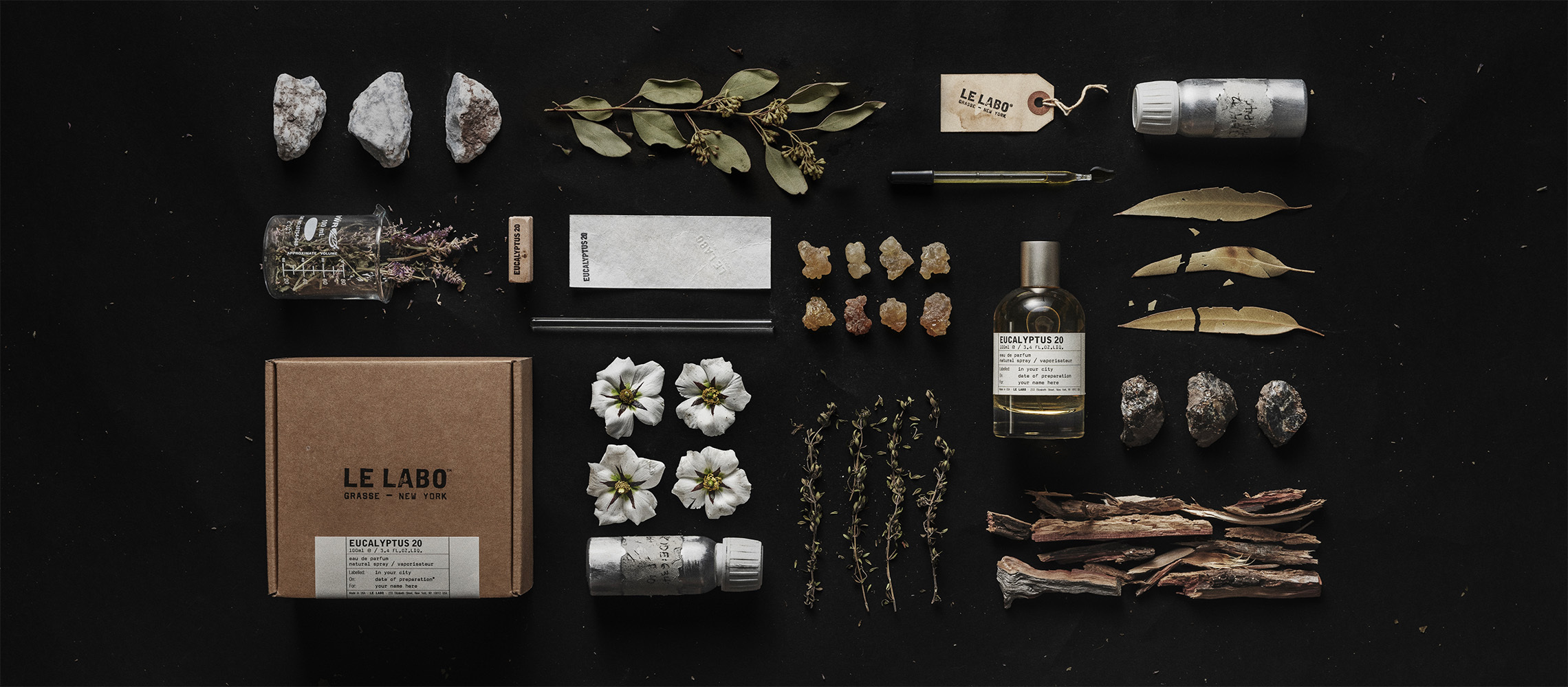 유칼립투스 20 | eucalyptus 20